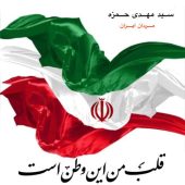 دانلود آهنگ سید مهدی حمزه مردان ایران